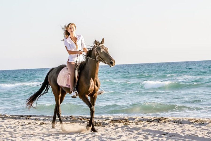 Bodrum Horse Riding (2,5 hours)